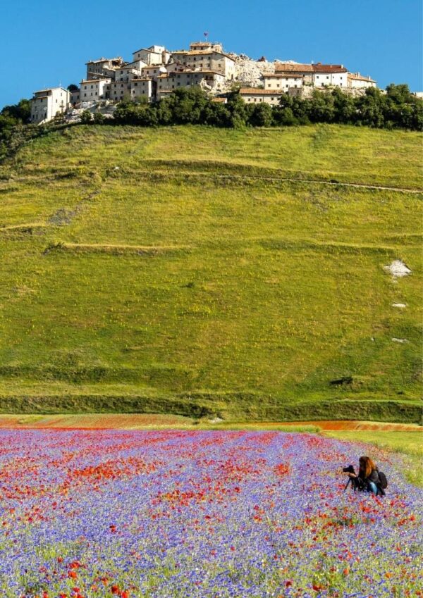 Lo Spettacolo Della Fioritura Di Castelluccio Di Norcia